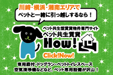 ペット共生 ペット可 賃貸 アドバンスネット横浜店