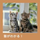 猫が分かる!