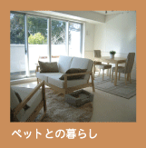 ペットとの暮らし