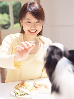 テーブルと女性と犬