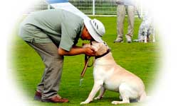 指示通りにできた犬をほめている山本さん