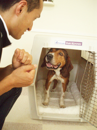 扉が開いた状態でハウスの中にいることを教える