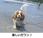 楽しいだワン