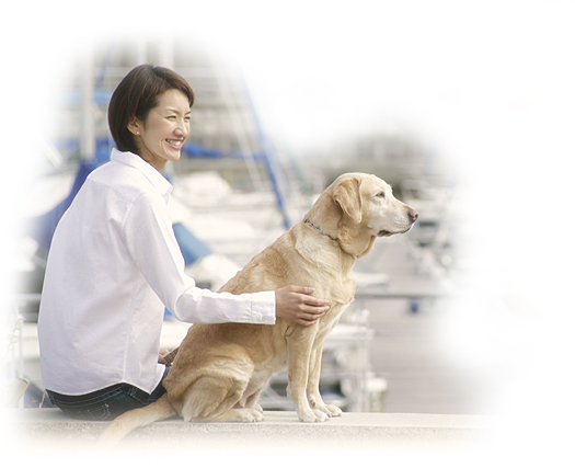 犬イメージ