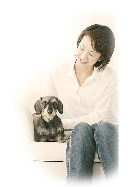 犬イメージ