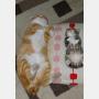 寝猫(大) 寝猫(小) 寝猫(大) 寝猫(小)